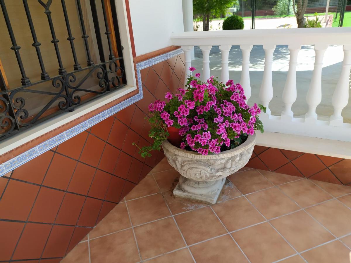 Frasquita * Priego de Córdoba
