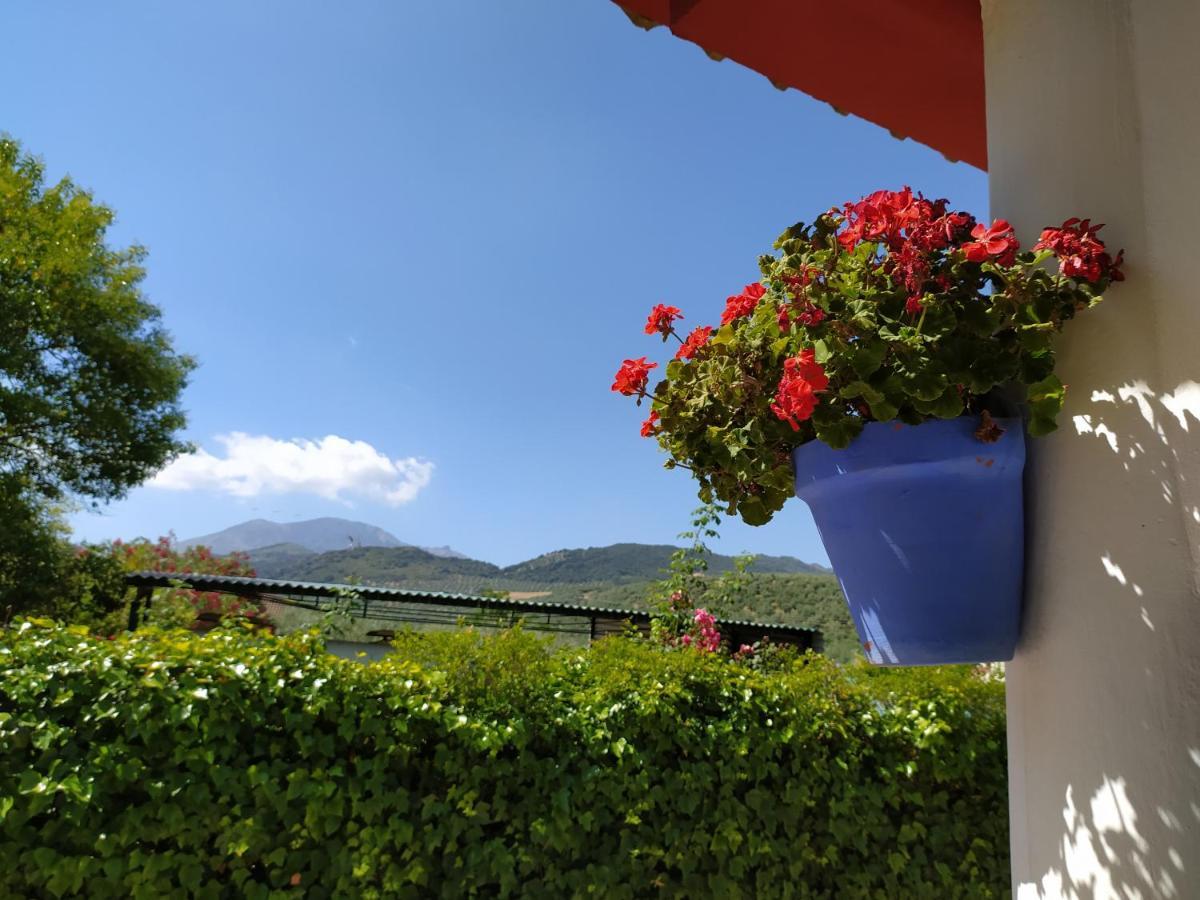 Frasquita Country house