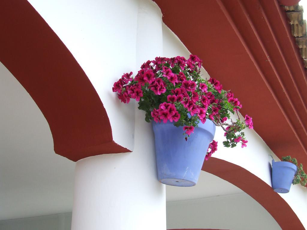 Country house Frasquita *